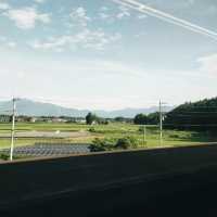 Tokyo Like a Local: Beyond the Tourist Trail