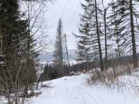 ❄️ Winter Hike to Kráľova Hoľa: Snowy Adventure in Slovakia