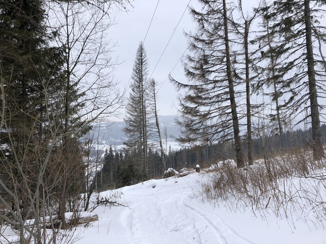 ❄️ Winter Hike to Kráľova Hoľa: Snowy Adventure in Slovakia ❄️ Winter Hike to Kráľova Hoľa: Snowy Adventure in Slovakia