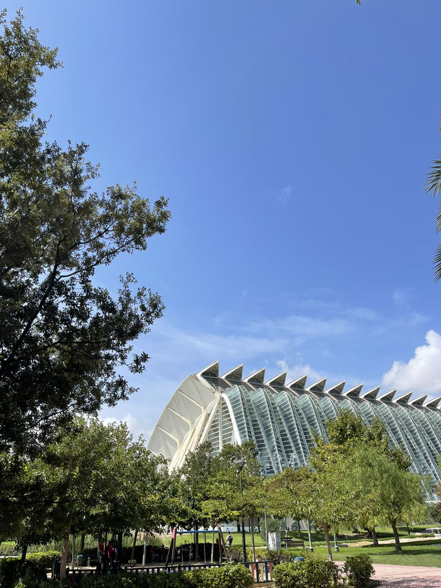 Ciudad de las Artes: Futuristic Beauty in Valencia ✨🏛️🌊