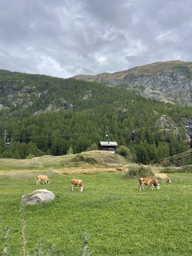🌄 Zermatt Nature: Alpine Peaks & Pristine Beauty 🏔️🌿❄️