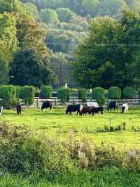 Country Stillness