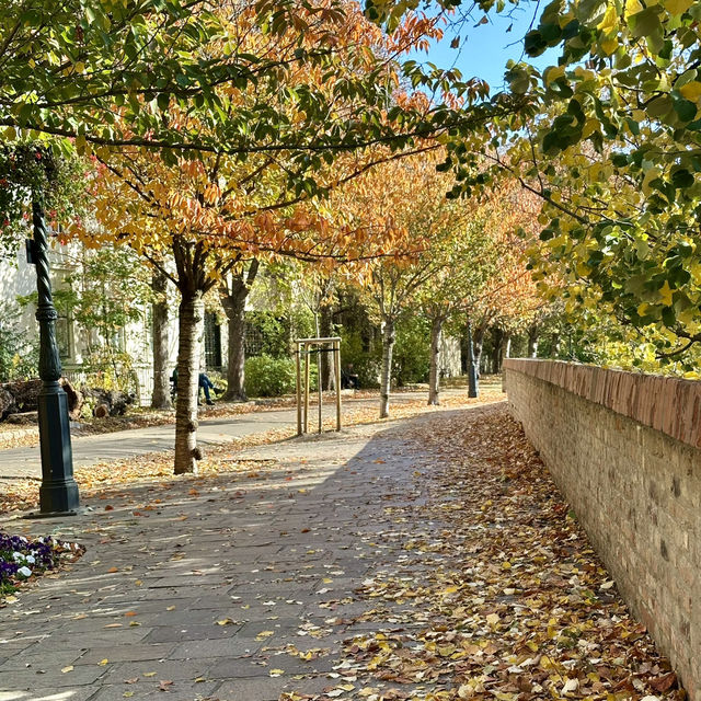 Fall colors in Budapest 