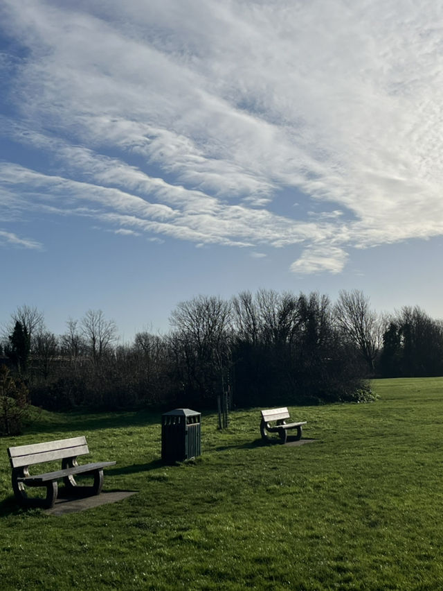 探索千年遺址秘境之旅 探索千年遺址秘境之旅