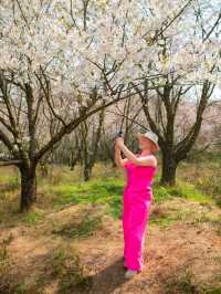 Сад Пинба в долине Гуйчжоу