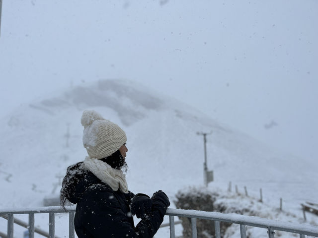 Switzerland! Switzerland!