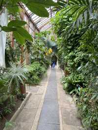 Cambridge Travel Guide: What to See in One Day
