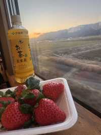 🌋❄️🇯🇵Winter Caldera Wonders & Hot Treats: Exploring Mount Aso