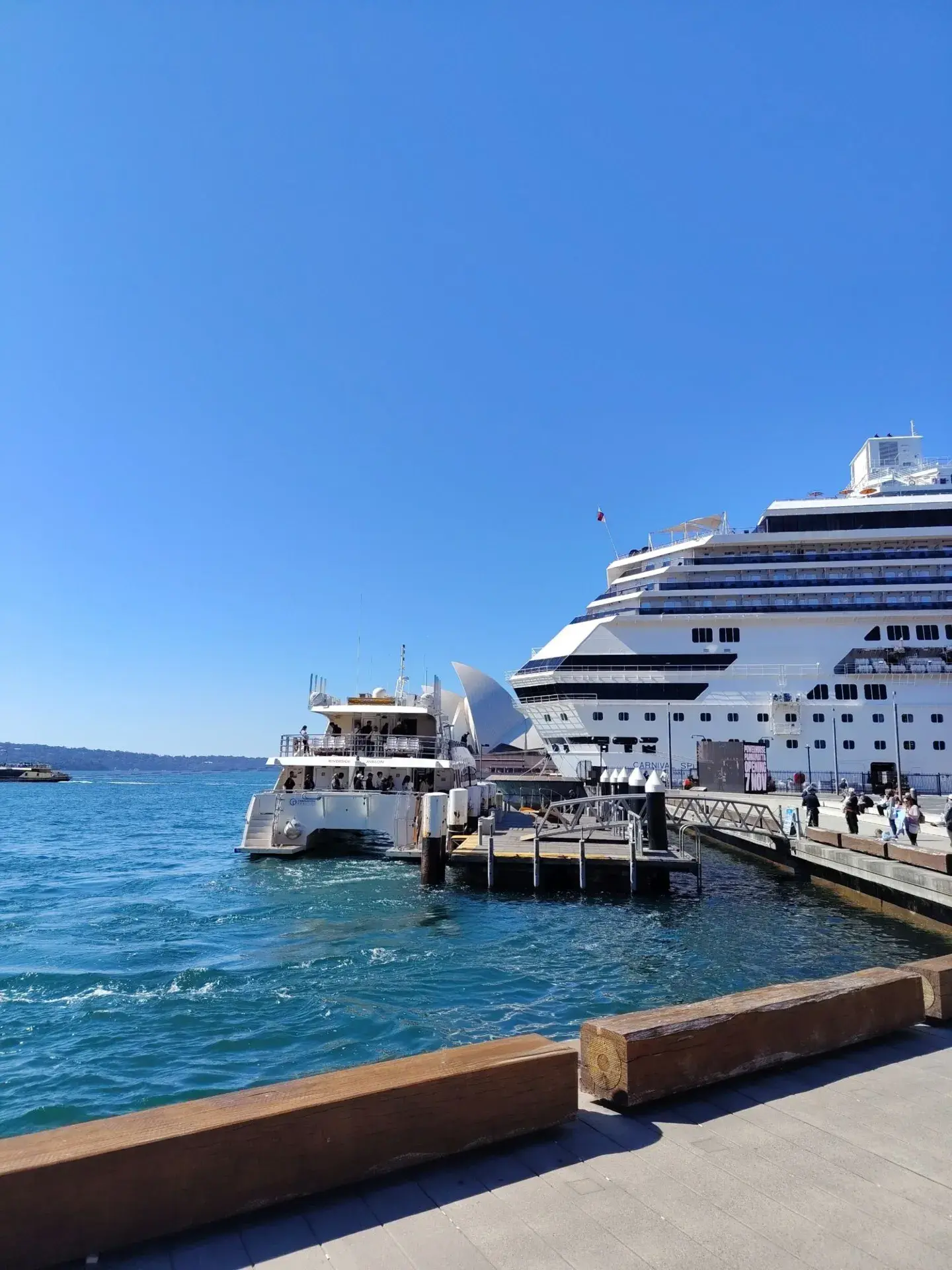 Unforgettable Encounters on the Sydney Whale Watching Cruise