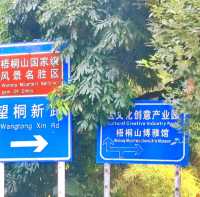 Strawberry picking in Louhu Shenzhen 