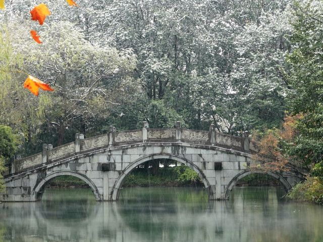 西湖十景之花港觀魚