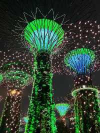 Garden’s by the Bay | Singapore