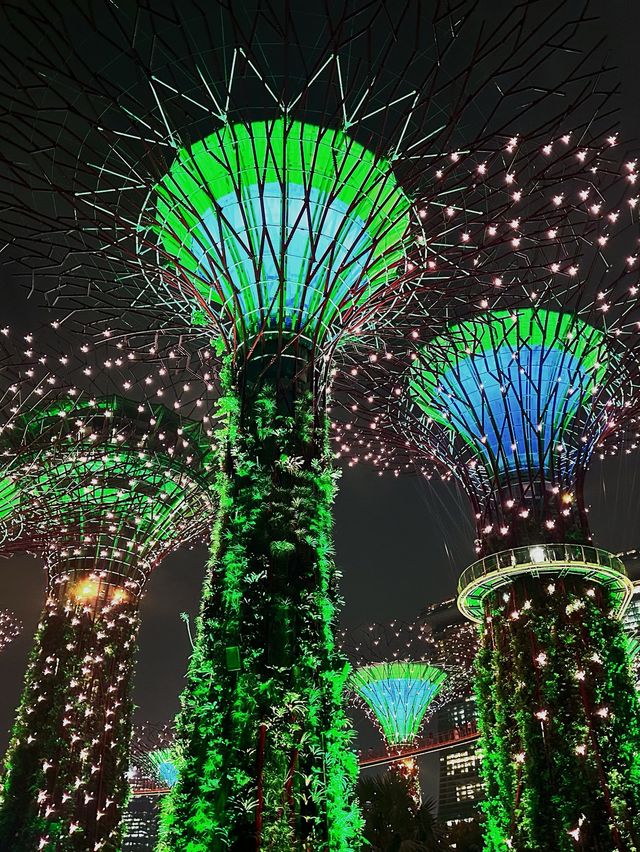 Garden’s by the Bay | Singapore