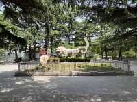 타조와 아이컨택이 인상적이었던 곳, 연화동물원(煙合動物園)