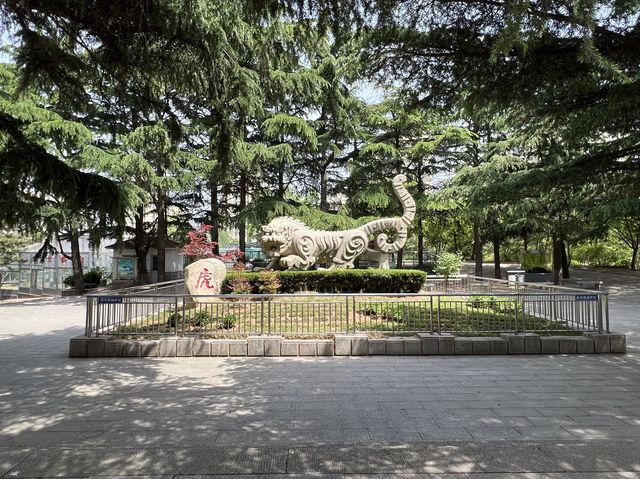 타조와 아이컨택이 인상적이었던 곳, 연화동물원(煙合動物園)