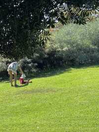 Cool off at the Royal Botanic Garden Sydney.