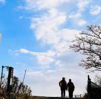 Hiking, trekking @ Mt. Hakodate