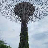 Gardens by the Bay