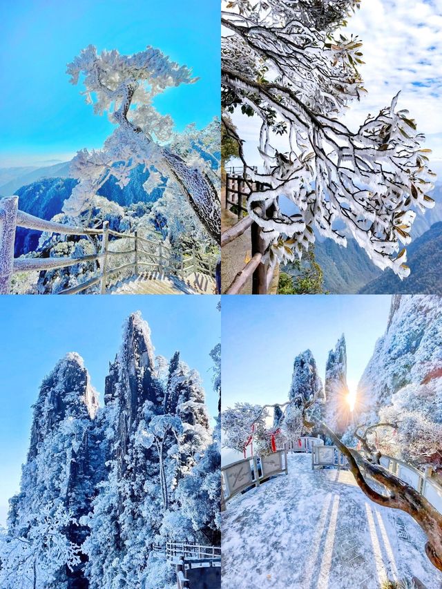 這不是北方，是南方寶寶的賞雪寶地/莽山五指峰