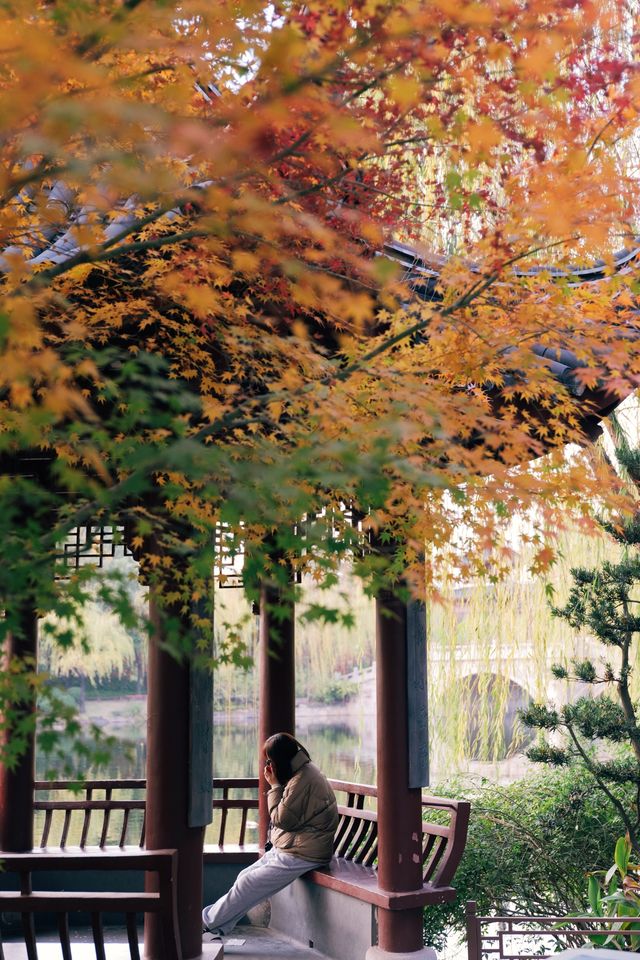 發現上海｜奉賢古華園，這裡的紅葉也很美