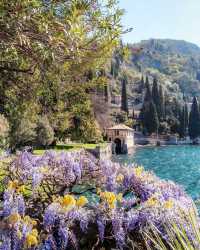 Lake Como Retreat: Live the Magic with Hotel Royal Victoria and Villa Cipressi 💫