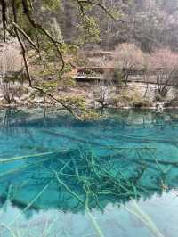 九寨黃龍三日遊