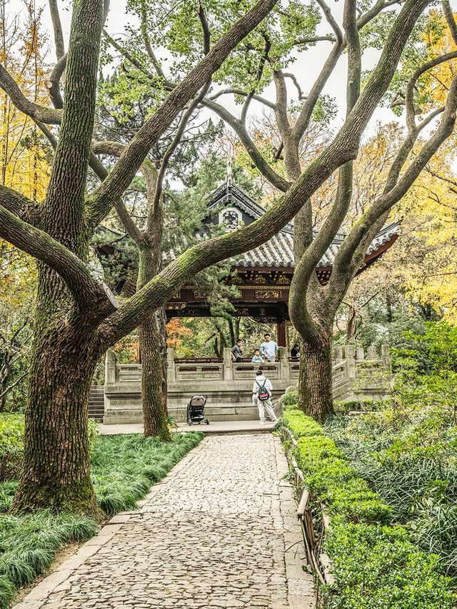 匯龍潭公園 | 醉美秋季