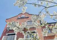 里外里假日酒店（上海國際旅遊度假區店）：一次難忘的住宿