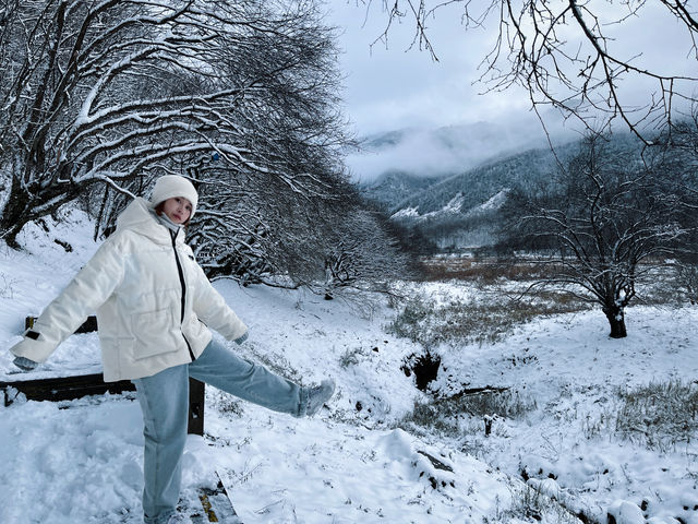 南方人冬天的正確打開方式神農架看雪攻略