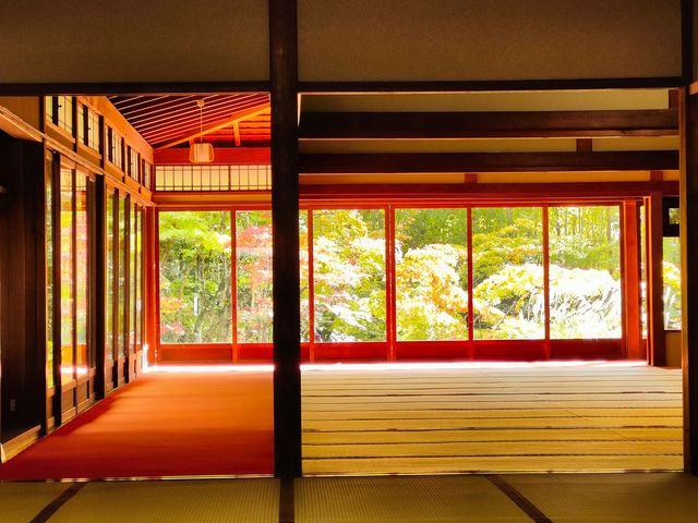 尋找紅葉的旅程 | 京都永觀堂