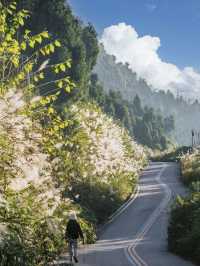 成都動車1h，不為人知的小眾徒步路線