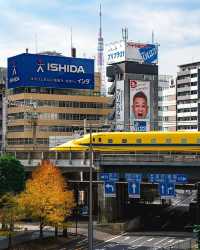 東京の都会の魅力：賑やかな街角の活気を感じよう！🏙️🇯🇵