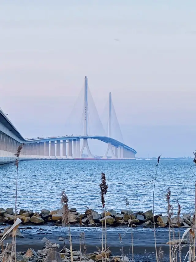 不愧是《悲傷逆流成河》的取景地吖/真的美