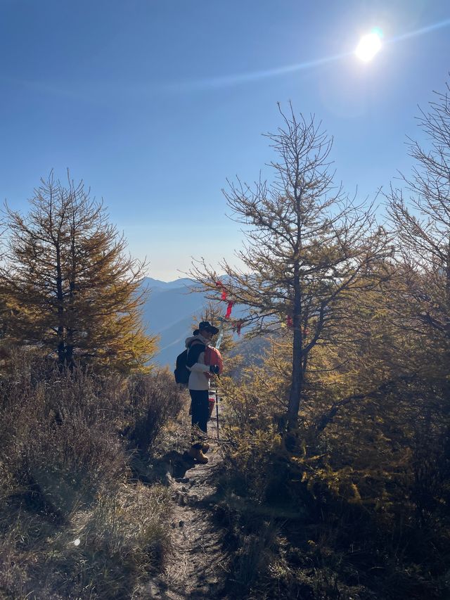 五台山大朝台，看這篇就夠了