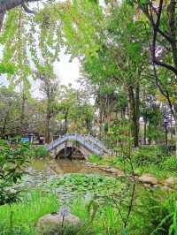 【大理古城】季羡林題匾 藏在古城裡的後花園
