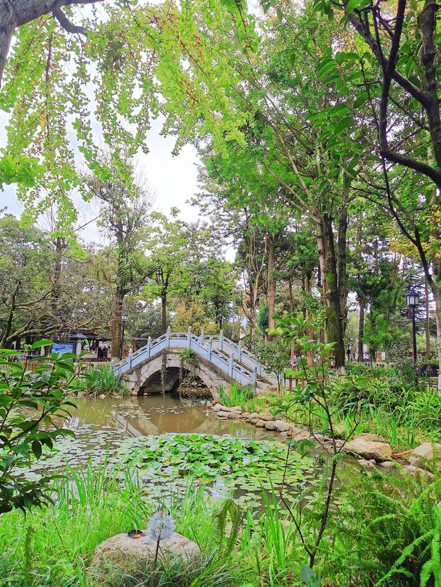 【大理古城】季羡林題匾 藏在古城裡的後花園