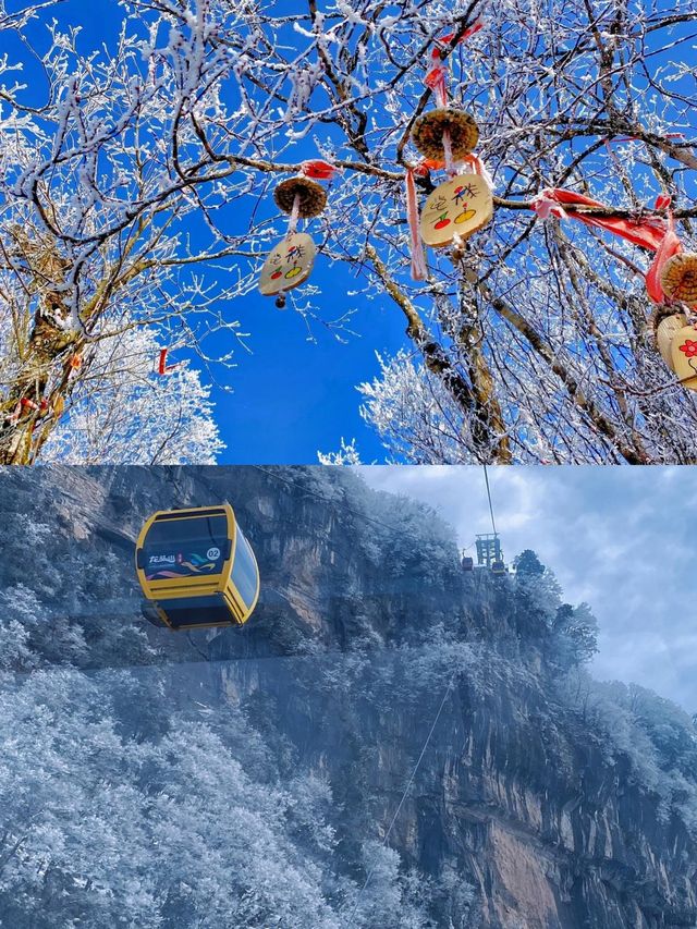 【懶人福音】一座不用爬的夢中情山，冰雪龍頭山！