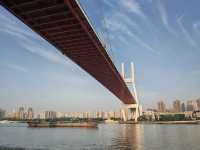 一橋飛架黃浦江—南浦大橋