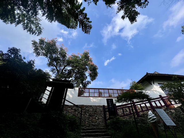 杭州徑山｜在十二月令偷得浮生半日閒～