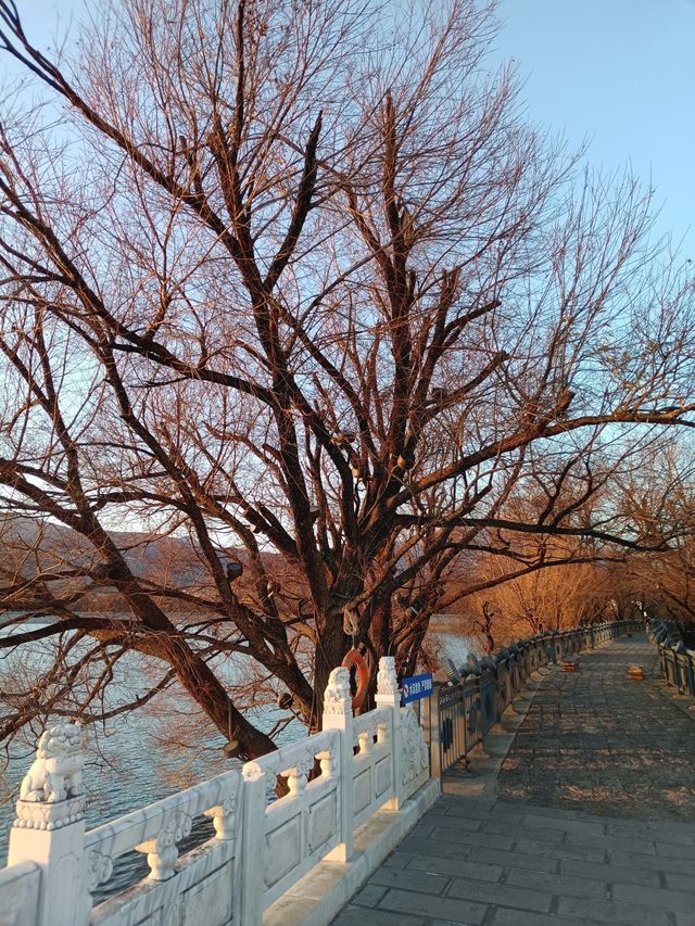 來麗江不知道幹嘛，就到清溪水庫走一走吧，這裡就是洱海的min