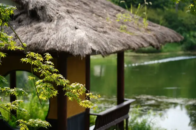 The story behind Du Fu's Thatched Cottage|| The story behind 'River Village'