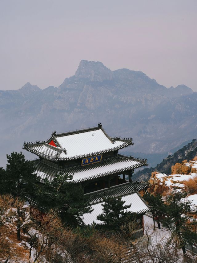 冬日泰山盛宴，美景等你來解鎖！