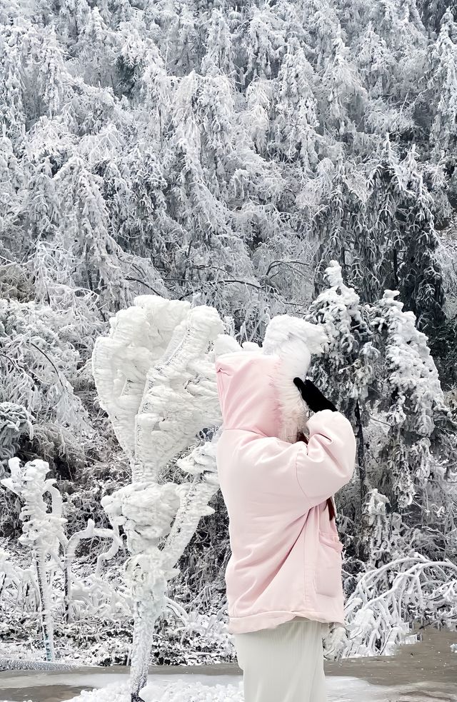 廣東周邊看雪 雲冰山避坑指南