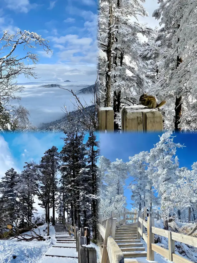 【Xiling Snow Mountain One Day Essence Tour】Your urban escape plan