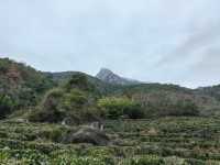 新豐江之源，韶關雲髻山，珠三角最高峰