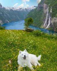 🌼💚 Unveil the secrets of Geirangerfjord and let its beauty mesmerize you. Have you ever visited a place that felt like pawradise? Share your stories in the comments below! 👇