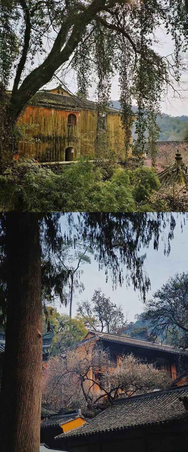 天台國清寺