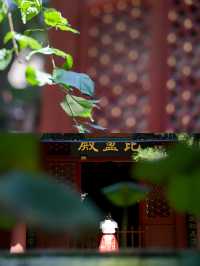 法源寺|見證中國歷史的靜謐之地