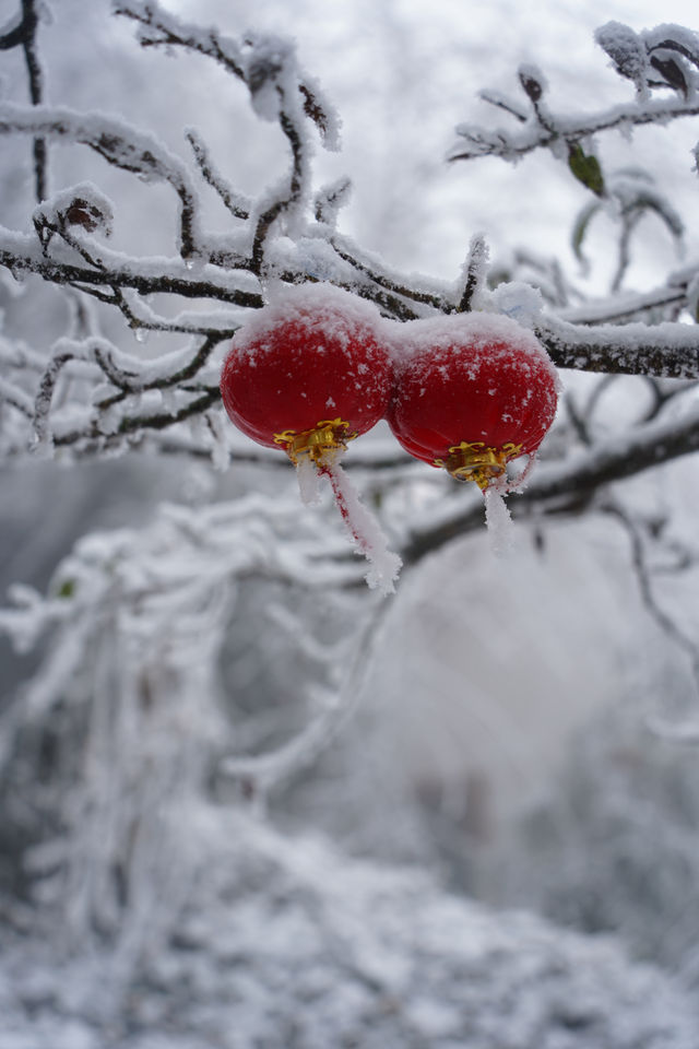 南方小土豆，被武功山雪景美翻