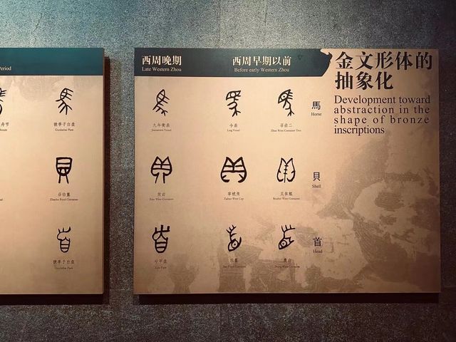 安陽一片甲骨驚天下文字博物館
